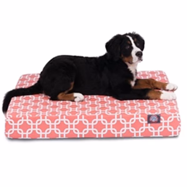 Coral Links Medium Orthopedic Memory Foam Rectangle Dog Bed